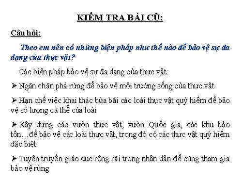 Bài 50. Vi khuẩn