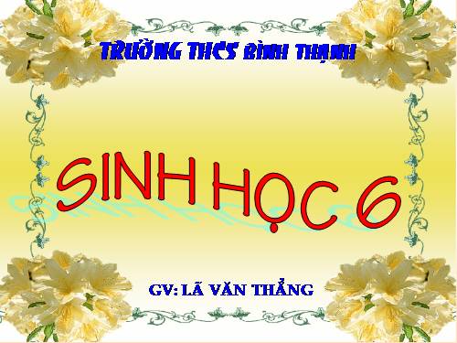 Bài 49. Bảo vệ sự đa dạng của thực vật