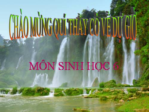 Bài 49. Bảo vệ sự đa dạng của thực vật