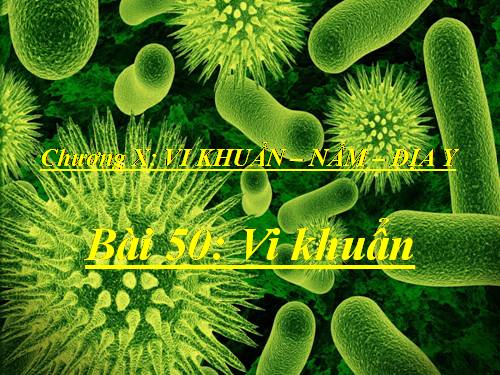 Bài 50. Vi khuẩn