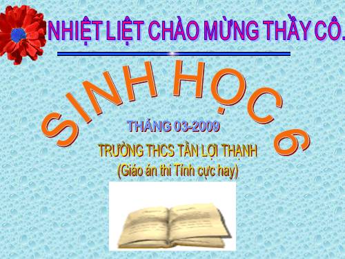 Bài 48. Vai trò của thực vật đối với động vật và đối với đời sống con người