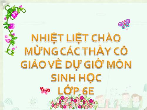 Bài 46. Thực vật góp phần điều hoà khí hậu