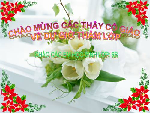 Bài 48. Vai trò của thực vật đối với động vật và đối với đời sống con người