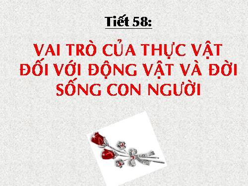 Bài 48. Vai trò của thực vật đối với động vật và đối với đời sống con người