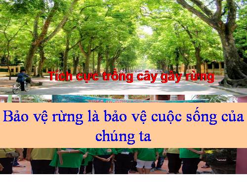 Bài 46. Thực vật góp phần điều hoà khí hậu