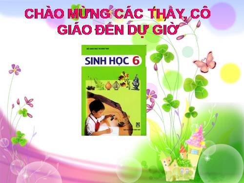 Bài 21. Quang hợp