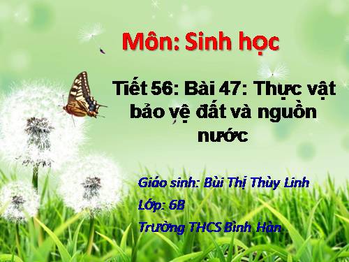 Bài 47. Thực vật bảo vệ đất và nguồn nước
