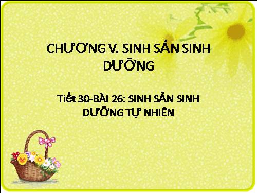 Bài 26. Sinh sản sinh dưỡng tự nhiên