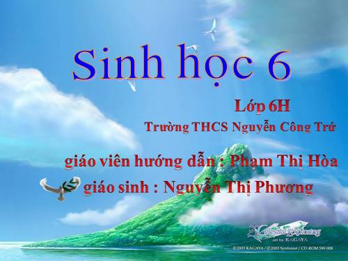 Bài 41. Hạt kín - Đặc điểm của thực vật Hạt kín