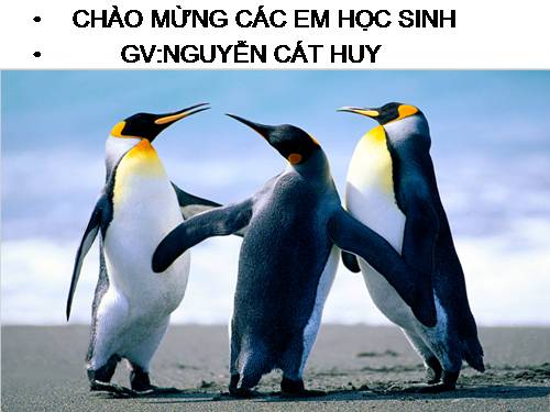 Bài 46. Thực vật góp phần điều hoà khí hậu