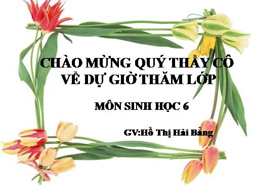 Bài 42. Lớp Hai lá mầm và lớp Một lá mầm