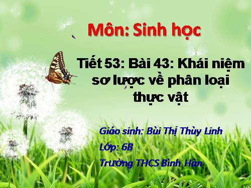 Bài 43. Khái niệm sơ lược về phân loại thực vật