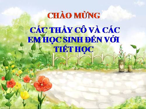 Bài 42. Lớp Hai lá mầm và lớp Một lá mầm