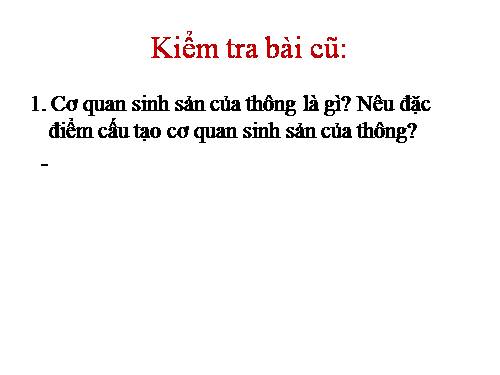 Bài 41. Hạt kín - Đặc điểm của thực vật Hạt kín