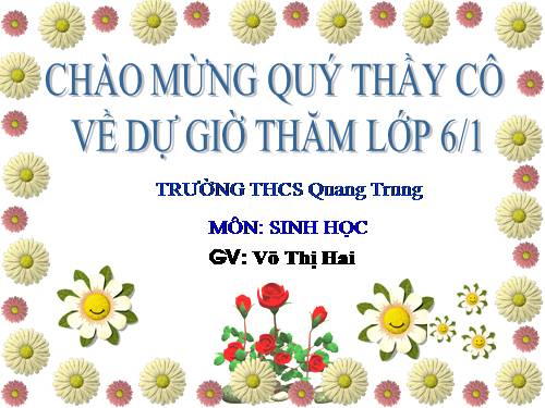 Bài 47. Thực vật bảo vệ đất và nguồn nước