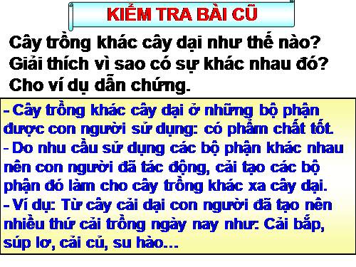 Bài 46. Thực vật góp phần điều hoà khí hậu