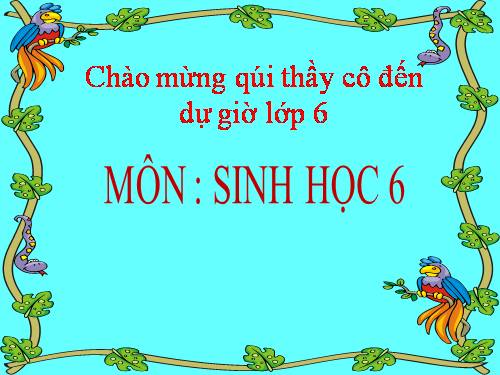 Bài 45. Nguồn gốc cây trồng