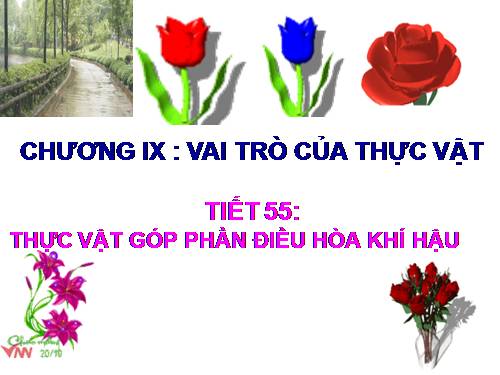 Bài 46. Thực vật góp phần điều hoà khí hậu