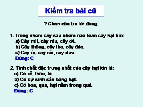 Bài 42. Lớp Hai lá mầm và lớp Một lá mầm