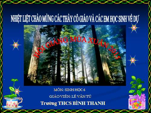 Bài 47. Thực vật bảo vệ đất và nguồn nước