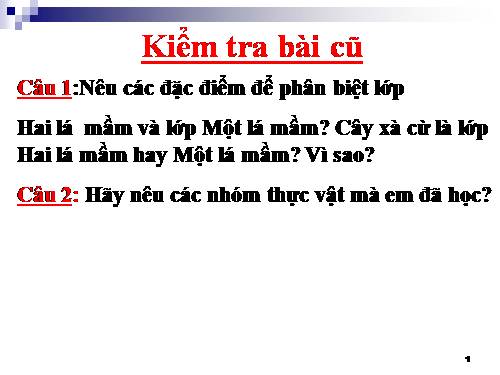 Bài 43. Khái niệm sơ lược về phân loại thực vật
