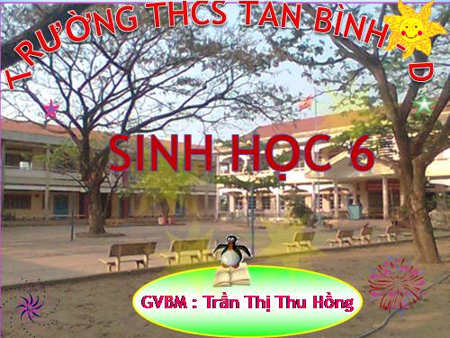 Bài 42. Lớp Hai lá mầm và lớp Một lá mầm