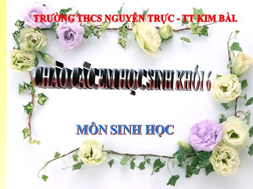 Bài 33. Hạt và các bộ phận của hạt