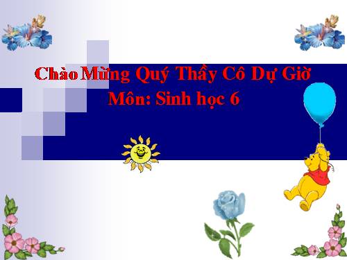 Bài 43. Khái niệm sơ lược về phân loại thực vật