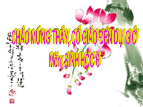 Bài 45. Nguồn gốc cây trồng