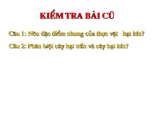 Bài 42. Lớp Hai lá mầm và lớp Một lá mầm