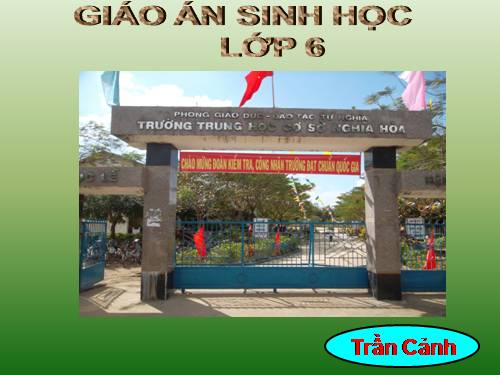 Bài 49. Bảo vệ sự đa dạng của thực vật