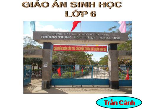 Bài 47. Thực vật bảo vệ đất và nguồn nước