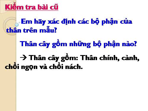 Bài 18. Biến dạng của thân