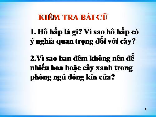 Bài 24. Phần lớn nước vào cây đi đâu?