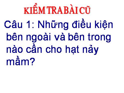 Bài 36. Tổng kết về cây có hoa