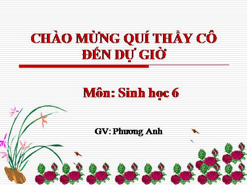 Bài 17. Vận chuyển các chất trong thân