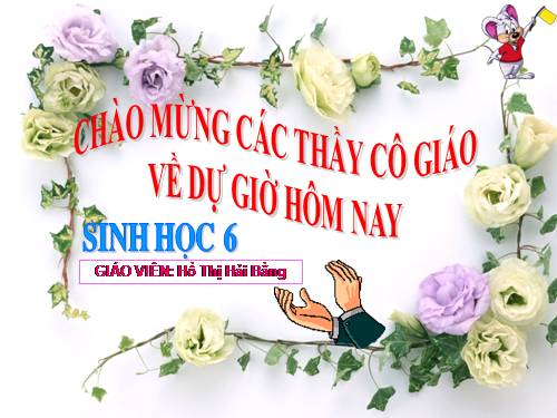 Bài 36. Tổng kết về cây có hoa