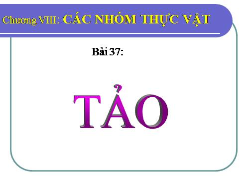 Bài 37. Tảo