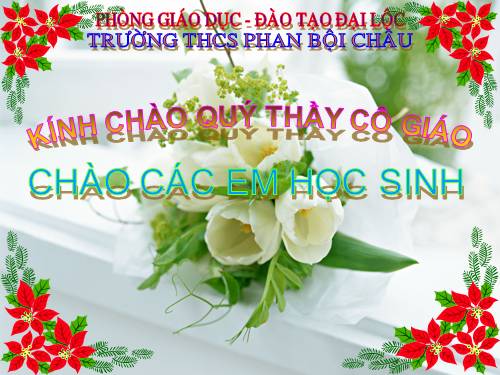 Bài 37. Tảo