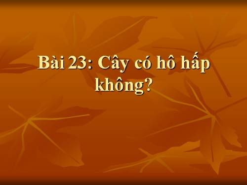 Bài 23. Cây có hô hấp không?