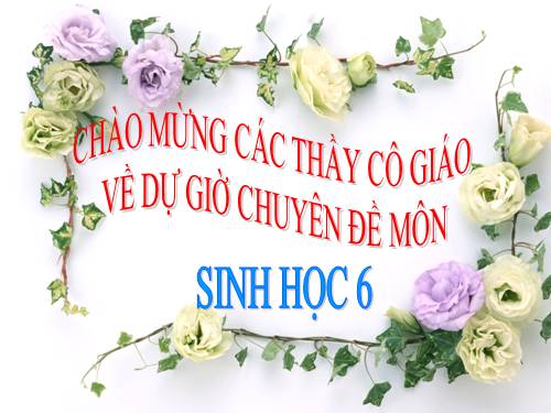 Bài 36. Tổng kết về cây có hoa