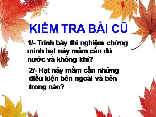 Bài 36. Tổng kết về cây có hoa