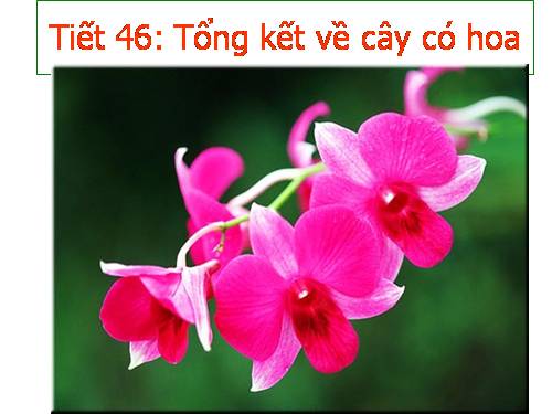 Bài 36. Tổng kết về cây có hoa