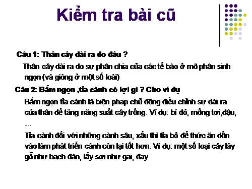 Bài 15. Cấu tạo trong của thân non