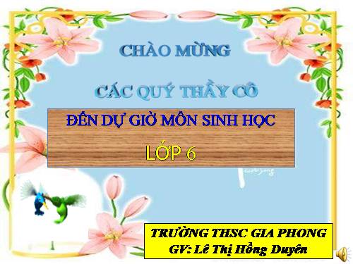 Bài 26. Sinh sản sinh dưỡng tự nhiên