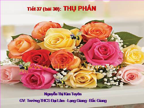 Bài 30. Thụ phấn