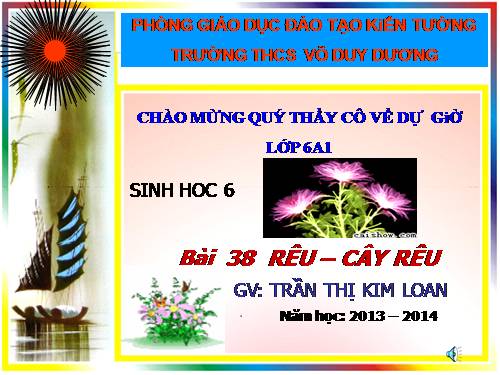 BÀI GIẢNG SINH LỚP 6