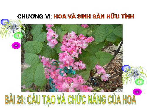 Bài 28. Cấu tạo và chức năng của hoa