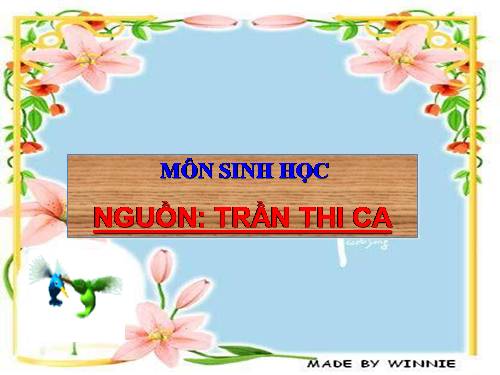 Bài 27. Sinh sản sinh dưỡng do người