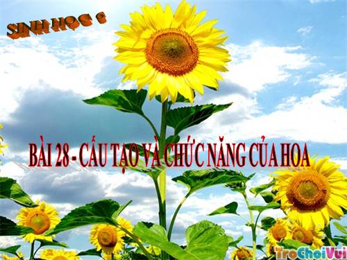 Bài 28. Cấu tạo và chức năng của hoa